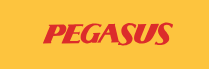 Pegasus Airways